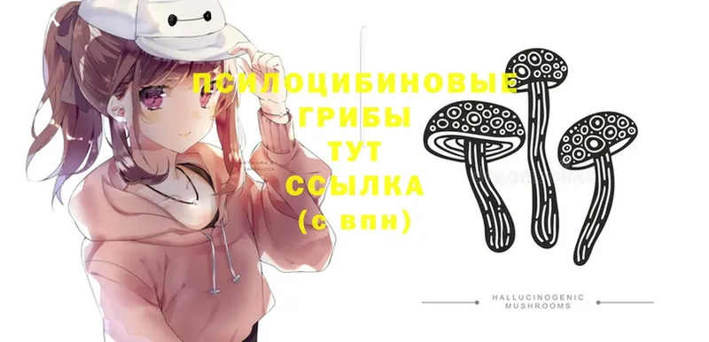 Псилоцибиновые грибы Magic Shrooms  магазин  наркотиков  MEGA зеркало  Льгов 